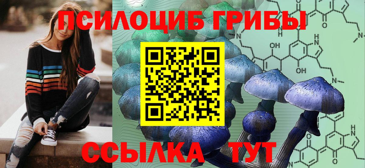 Великий Новгород  Псилоцибиновые грибы GOLDEN TEACHER  Вход с VPN 